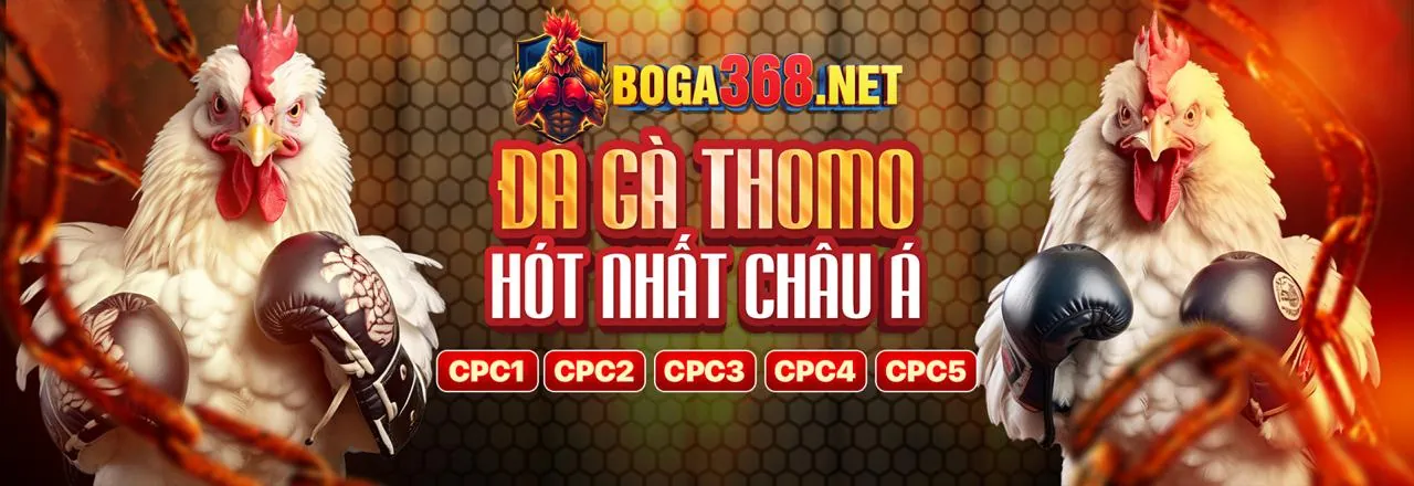 Rút Tiền Siêu Tốc