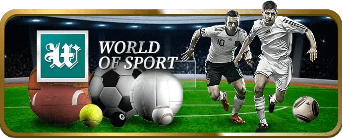 Các loại hình đá gà sun888 win